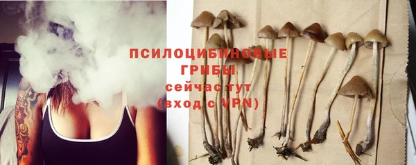 Альфа ПВП Гусиноозёрск