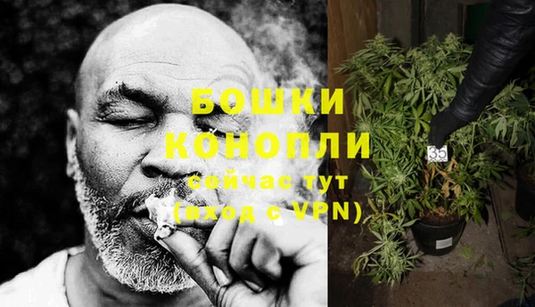 каннабис Гусев
