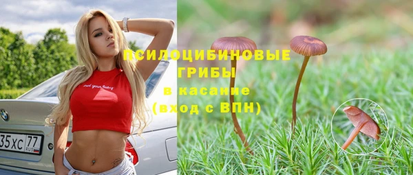 Альфа ПВП Гусиноозёрск