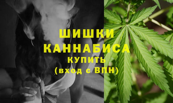 Альфа ПВП Гусиноозёрск