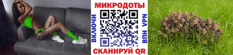 Псилоцибиновые грибы мухоморы Купить Советский